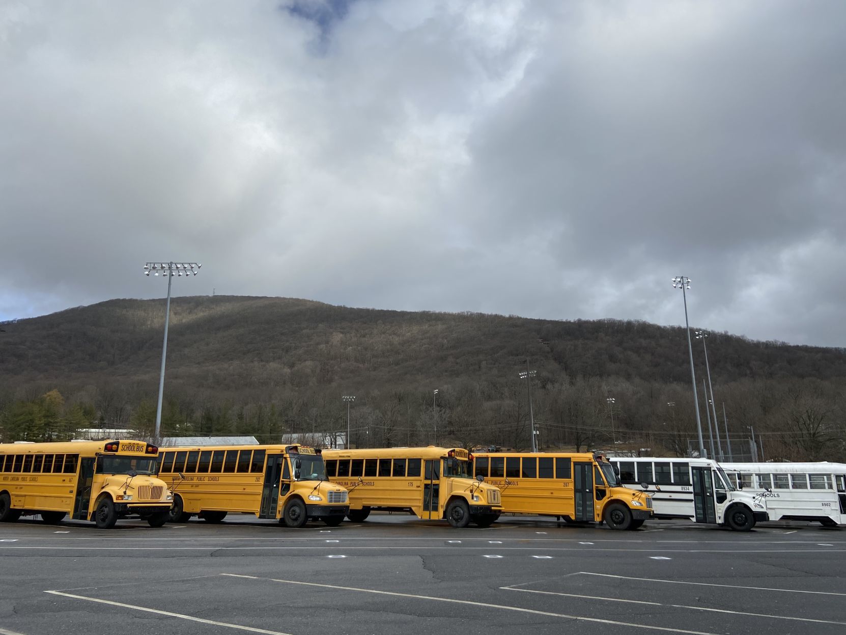 buses1